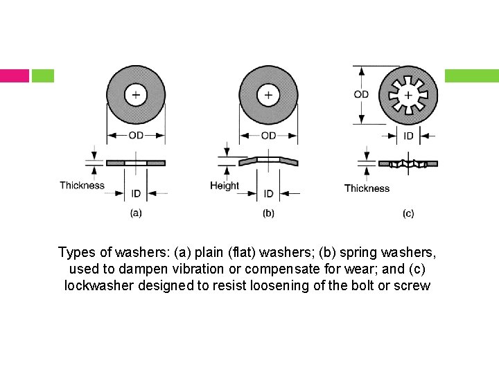 Types of washers: (a) plain (flat) washers; (b) spring washers, used to dampen vibration