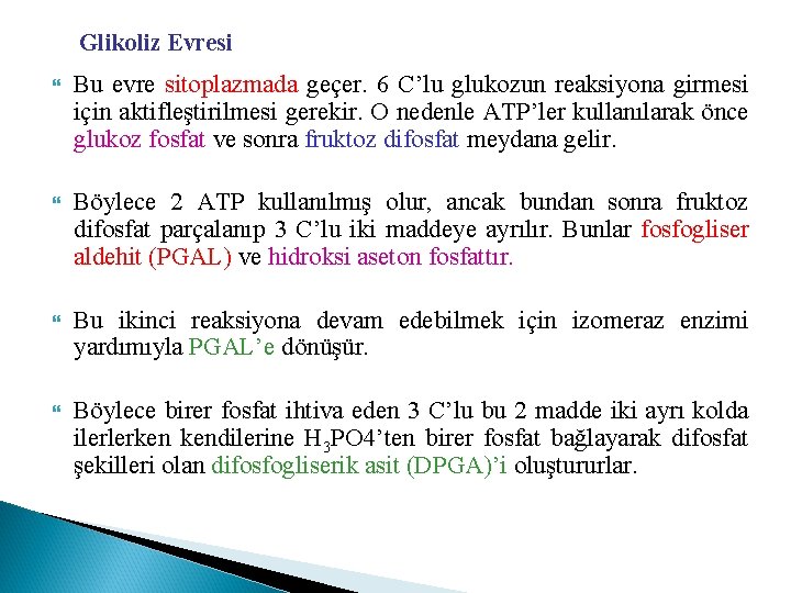 Glikoliz Evresi Bu evre sitoplazmada geçer. 6 C’lu glukozun reaksiyona girmesi için aktifleştirilmesi gerekir.