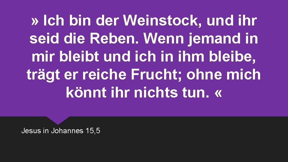 » Ich bin der Weinstock, und ihr seid die Reben. Wenn jemand in mir