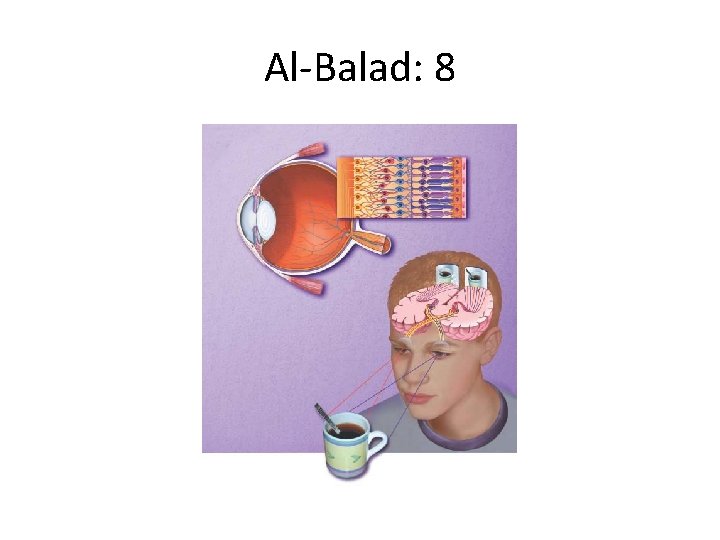 Al-Balad: 8 