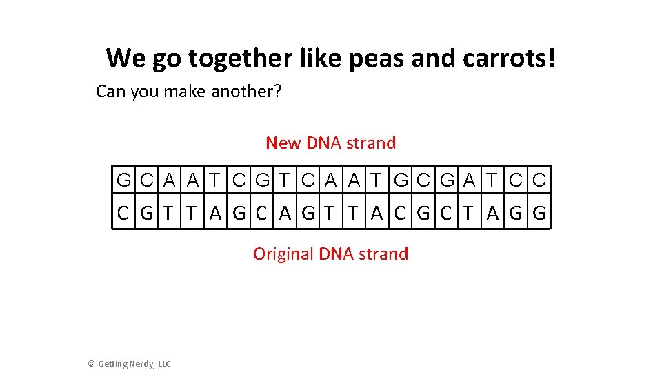 We go together like peas and carrots! Can you make another? New DNA strand