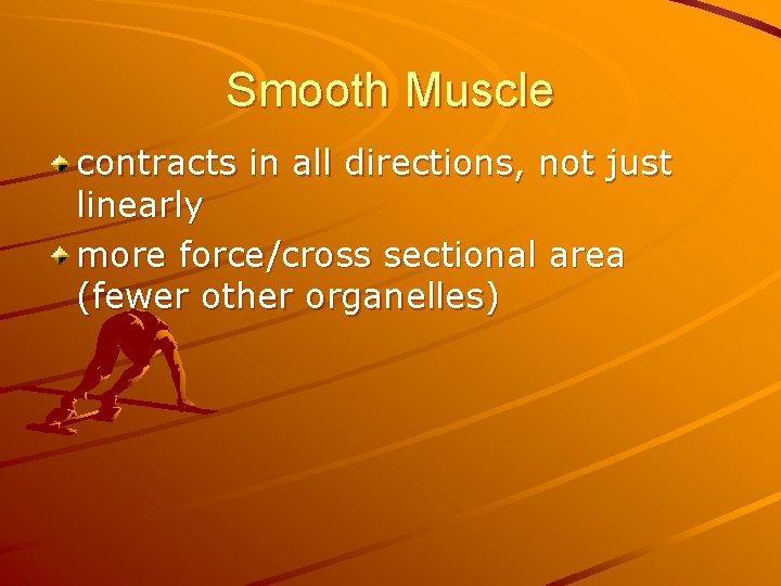 Smooth Muscle contracts in all directions, not just linearly more force/cross sectional area (fewer