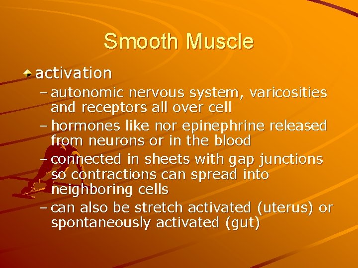 Smooth Muscle activation – autonomic nervous system, varicosities and receptors all over cell –