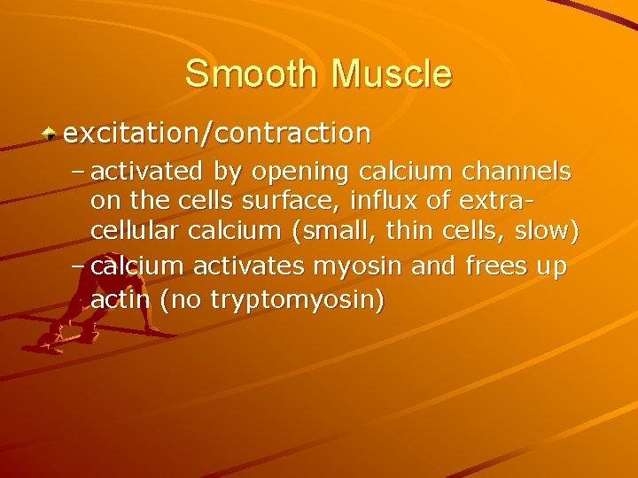 Smooth Muscle excitation/contraction – activated by opening calcium channels on the cells surface, influx
