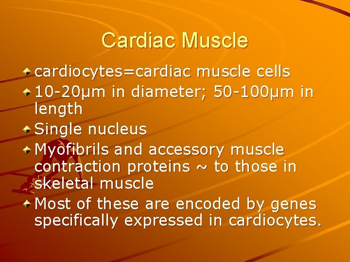 Cardiac Muscle cardiocytes=cardiac muscle cells 10 -20µm in diameter; 50 -100µm in length Single