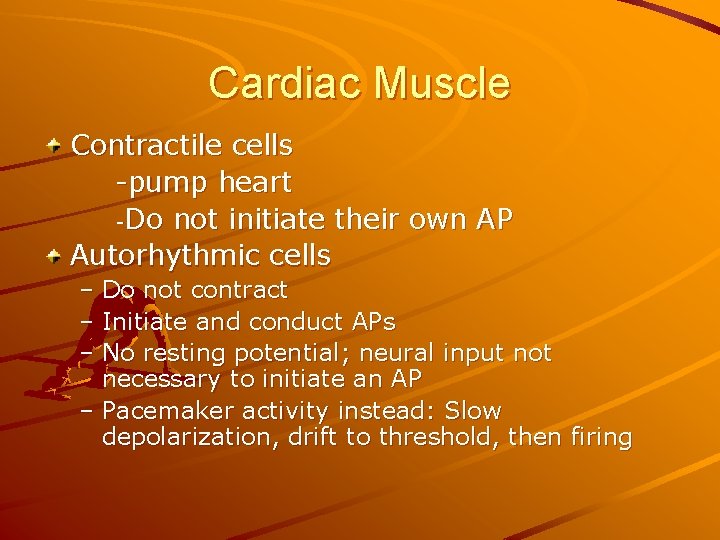 Cardiac Muscle Contractile cells -pump heart -Do not initiate their own AP Autorhythmic cells
