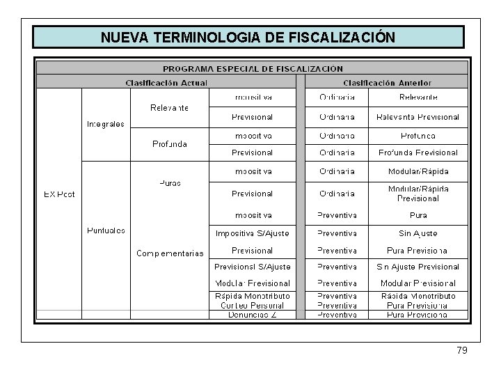 NUEVA TERMINOLOGIA DE FISCALIZACIÓN 79 