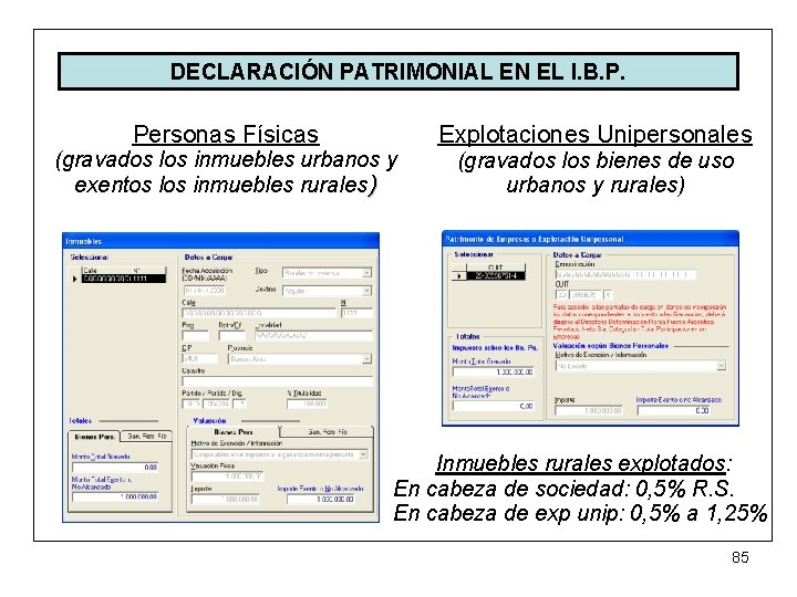 DECLARACIÓN PATRIMONIAL EN EL I. B. P. Personas Físicas (gravados los inmuebles urbanos y