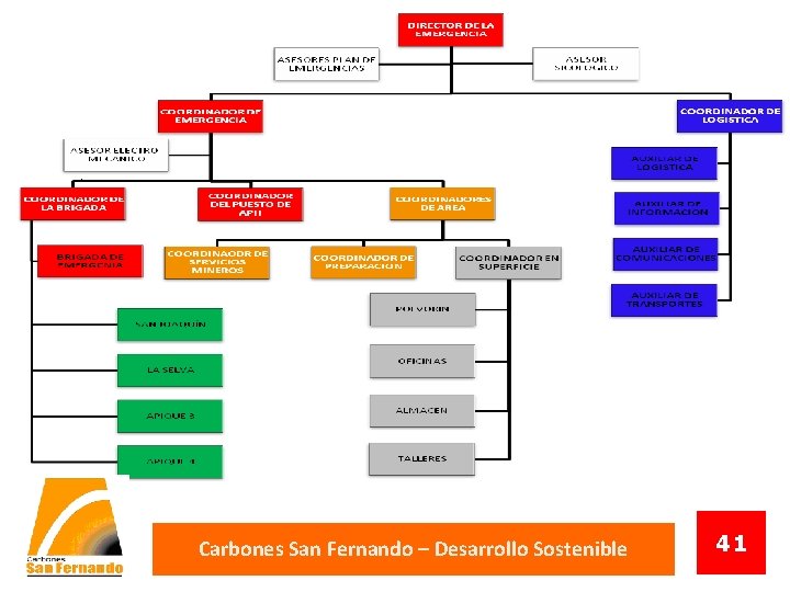 . Carbones San Fernando – Desarrollo Sostenible 41 