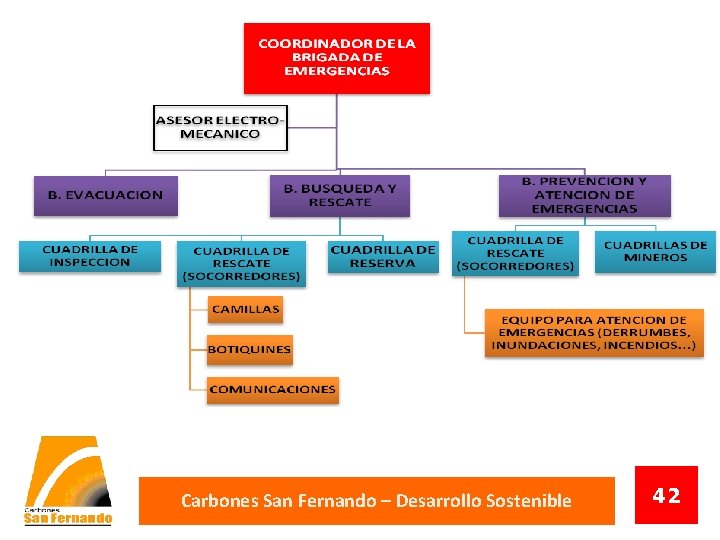 Carbones San Fernando – Desarrollo Sostenible 42 