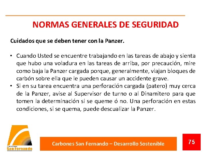 NORMAS GENERALES DE SEGURIDAD Cuidados que se deben tener con la Panzer. • Cuando