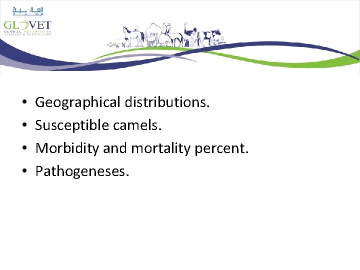 • • Geographical distributions. Susceptible camels. Morbidity and mortality percent. Pathogeneses. 