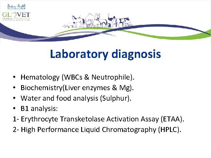 Laboratory diagnosis • Hematology (WBCs & Neutrophile). • Biochemistry(Liver enzymes & Mg). • Water