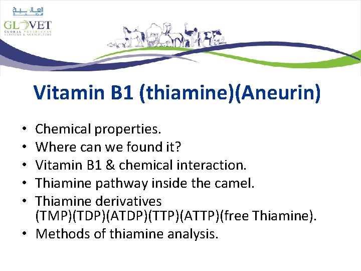 Vitamin B 1 (thiamine)(Aneurin) Chemical properties. Where can we found it? Vitamin B 1