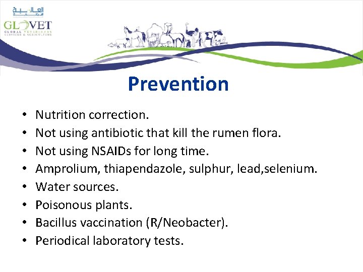 Prevention • • Nutrition correction. Not using antibiotic that kill the rumen flora. Not