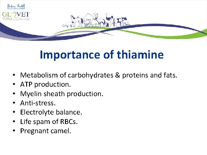 Importance of thiamine • • Metabolism of carbohydrates & proteins and fats. ATP production.