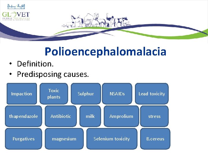 Polioencephalomalacia • Definition. • Predisposing causes. Impaction thapendazole Purgatives Toxic plants Antibiotic magnesium Sulphur