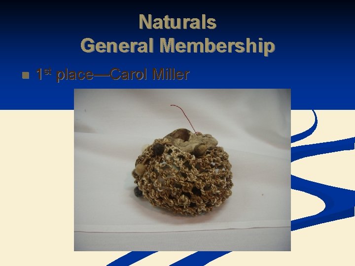 Naturals General Membership n 1 st place—Carol Miller 