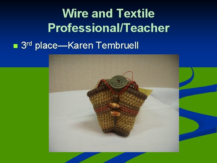 Wire and Textile Professional/Teacher n 3 rd place—Karen Tembruell 