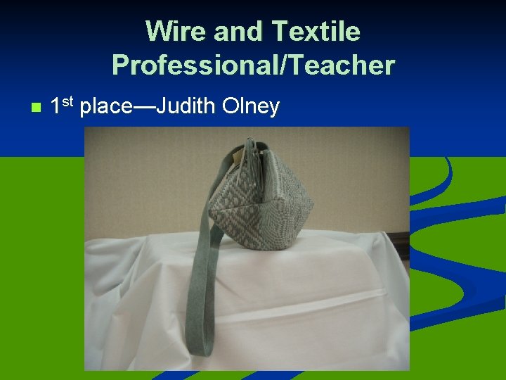 Wire and Textile Professional/Teacher n 1 st place—Judith Olney 