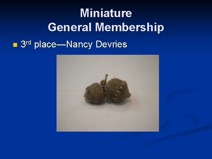 Miniature General Membership n 3 rd place—Nancy Devries 