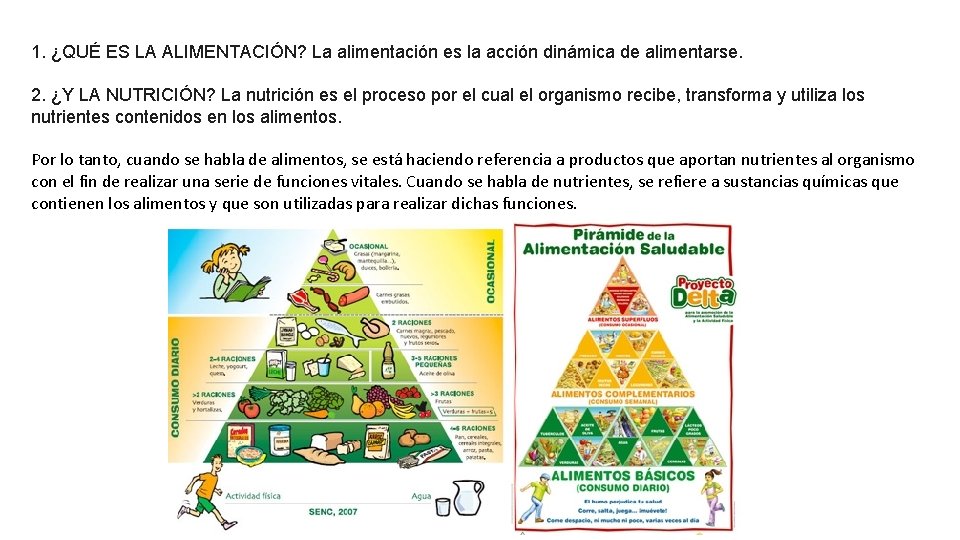 1. ¿QUÉ ES LA ALIMENTACIÓN? La alimentación es la acción dinámica de alimentarse. 2.