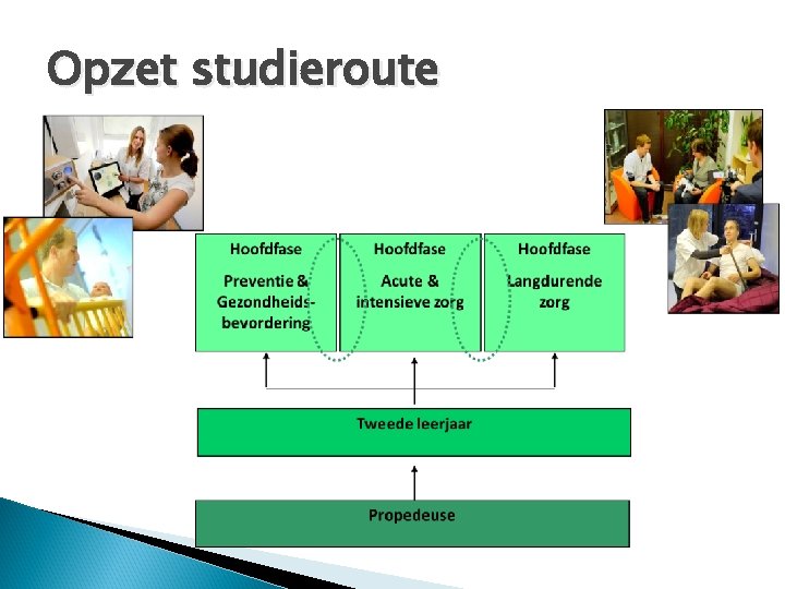 Opzet studieroute 