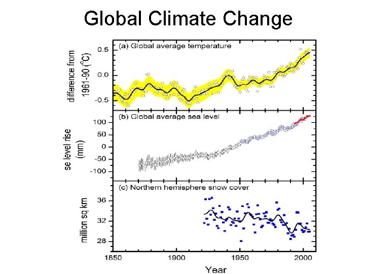 Global Climate Change 