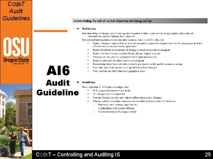 COBIT Audit Guidelines AI 6 Audit Guideline COBIT – Controlling and Auditing IS 25