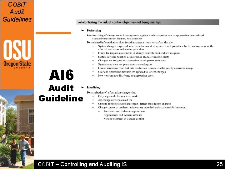 COBIT Audit Guidelines AI 6 Audit Guideline COBIT – Controlling and Auditing IS 25 COBIT Audit Guidelines AI 6 Audit Guideline COBIT – Controlling and Auditing IS 25