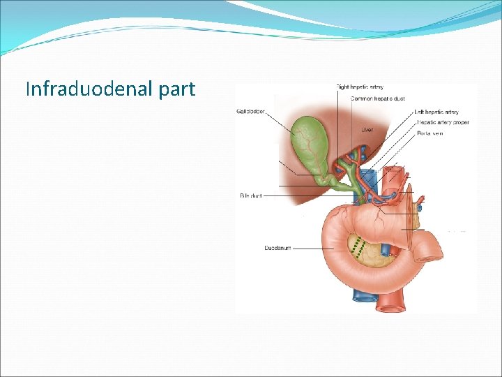 Infraduodenal part 