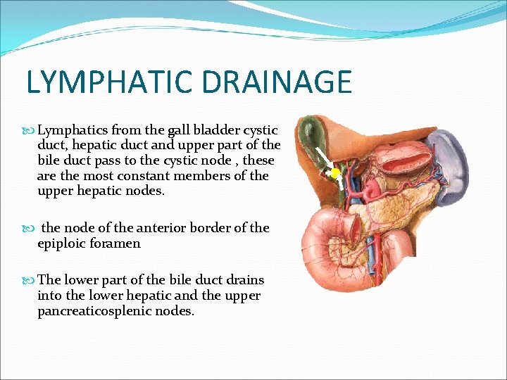 LYMPHATIC DRAINAGE Lymphatics from the gall bladder cystic duct, hepatic duct and upper part