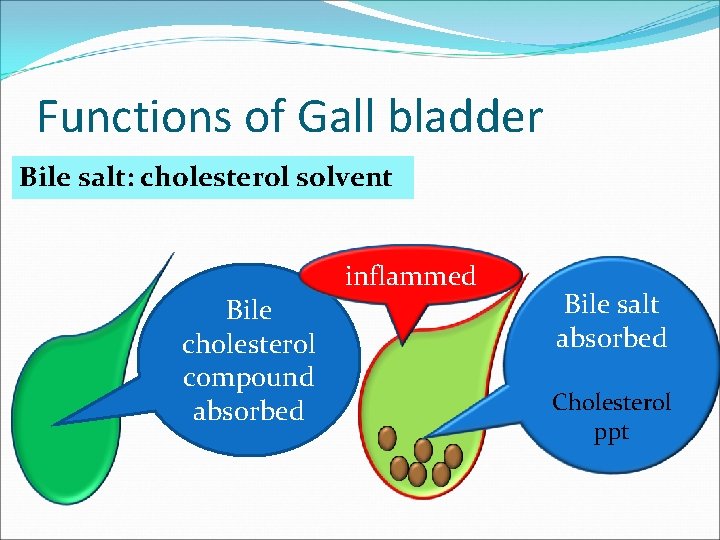 Functions of Gall bladder Bile salt: cholesterol solvent Bile cholesterol compound absorbed inflammed Bile
