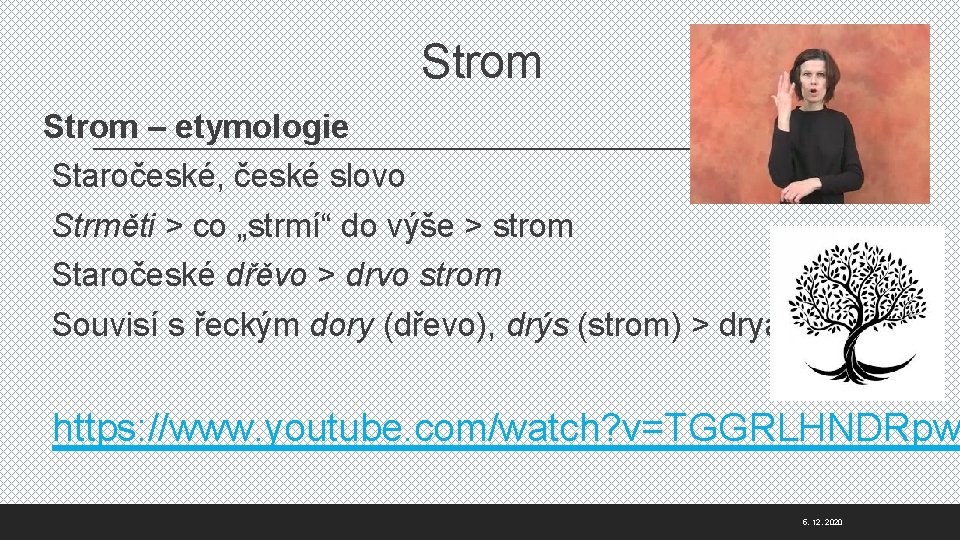 Strom – etymologie Staročeské, české slovo Strměti > co „strmí“ do výše > strom