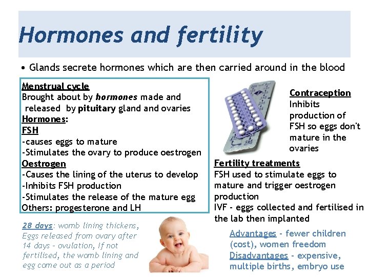 Hormones and fertility • Glands secrete hormones which are then carried around in the