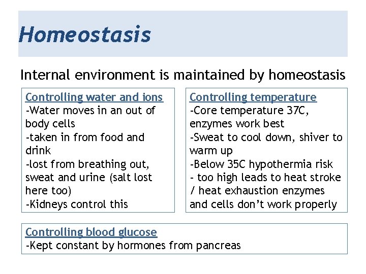 Homeostasis Internal environment is maintained by homeostasis Controlling water and ions -Water moves in