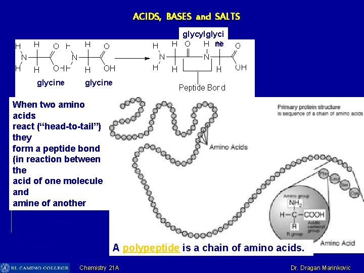 ACIDS, BASES and SALTS glycylglyci ne glycine When two amino acids react (“head-to-tail”) they