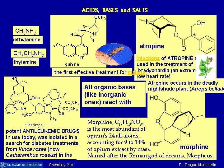 ACIDS, BASES and SALTS CH 3 NH 2 methylamine atropine CH 3 CH 2