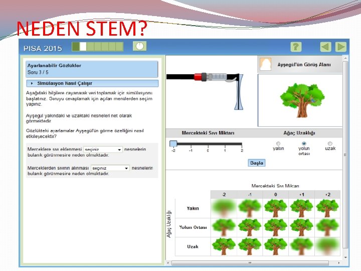 NEDEN STEM? 