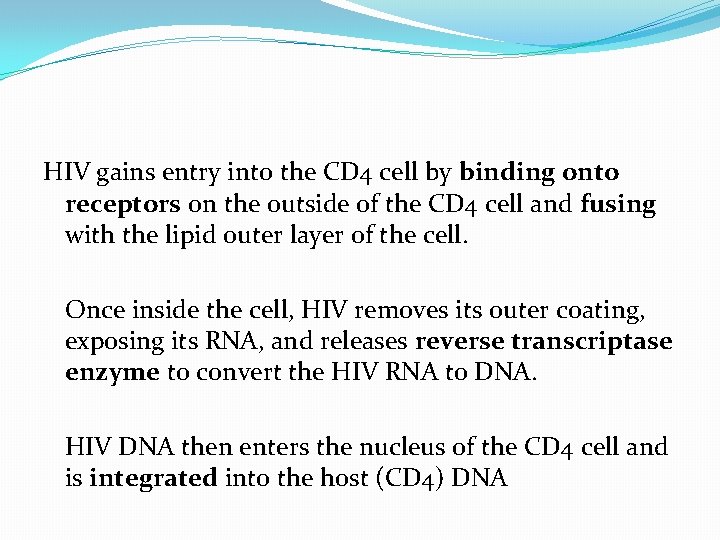 HIV gains entry into the CD 4 cell by binding onto receptors on the