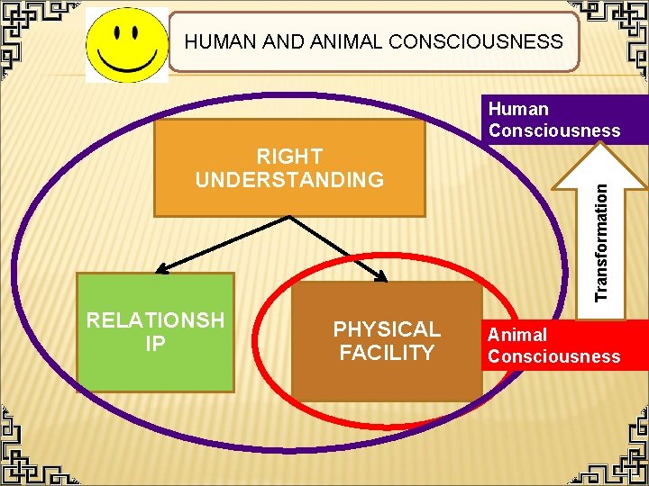 HUMAN AND ANIMAL CONSCIOUSNESS RIGHT UNDERSTANDING RELATIONSH IP PHYSICAL FACILITY Transformation Human Consciousness Animal
