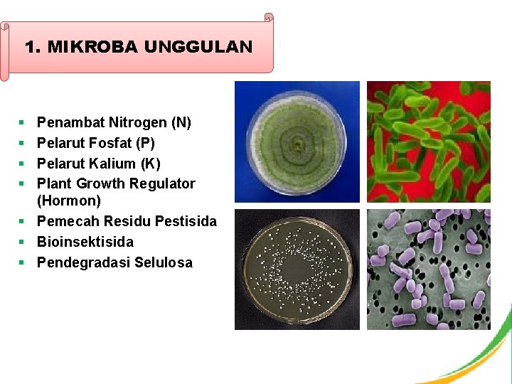 1. MIKROBA UNGGULAN § § Penambat Nitrogen (N) Pelarut Fosfat (P) Pelarut Kalium (K)