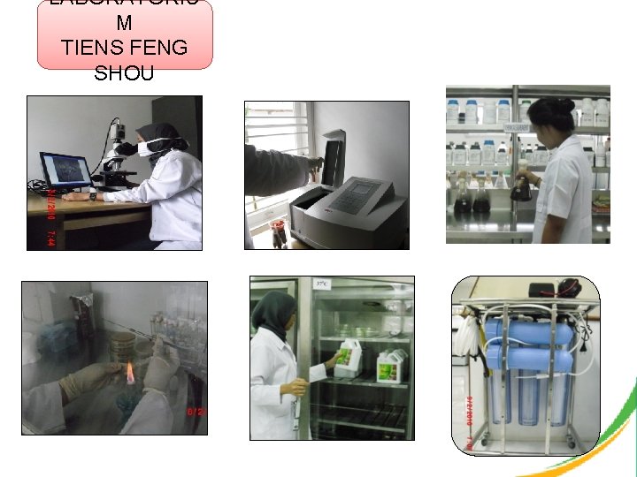 LABORATORIU M TIENS FENG SHOU 