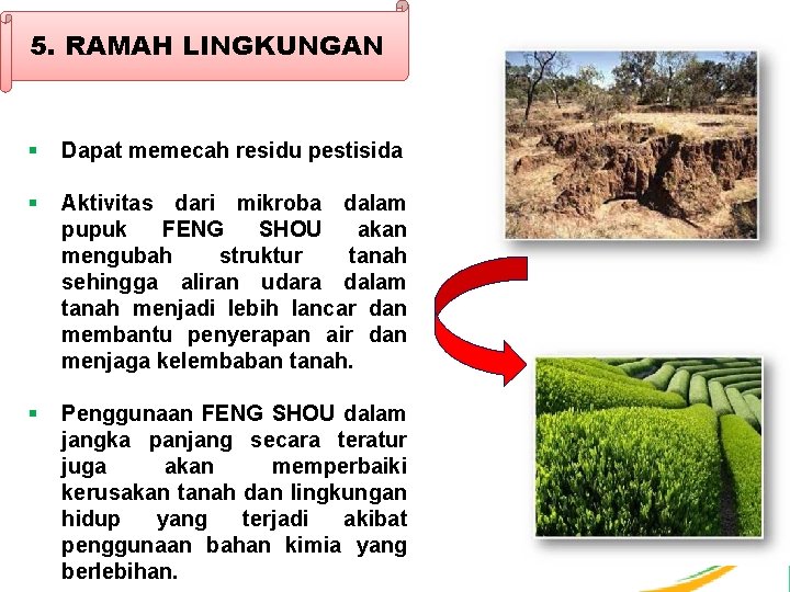 5. RAMAH LINGKUNGAN § Dapat memecah residu pestisida § Aktivitas dari mikroba dalam pupuk