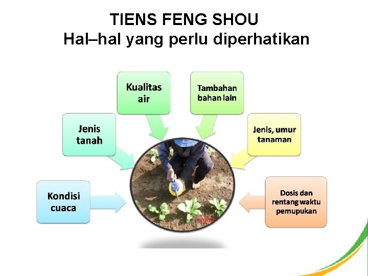 TIENS FENG SHOU Hal–hal yang perlu diperhatikan 