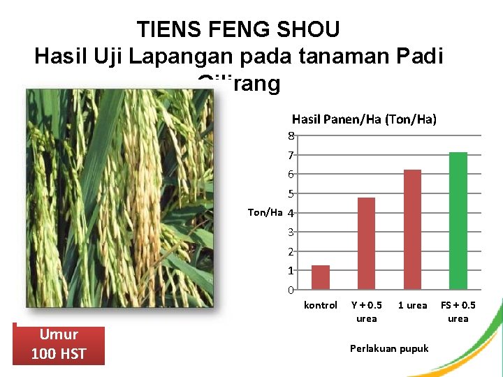 TIENS FENG SHOU Hasil Uji Lapangan pada tanaman Padi Gilirang Hasil Panen/Ha (Ton/Ha) 8