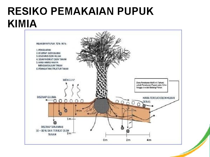 RESIKO PEMAKAIAN PUPUK KIMIA 