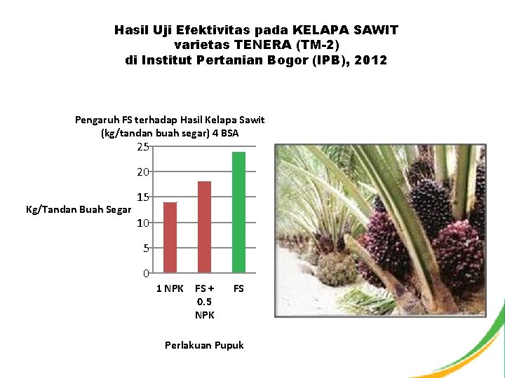 Hasil Uji Efektivitas pada KELAPA SAWIT varietas TENERA (TM-2) di Institut Pertanian Bogor (IPB),