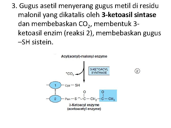 3. Gugus asetil menyerang gugus metil di residu malonil yang dikatalis oleh 3 -ketoasil