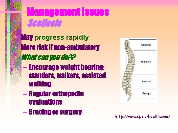 Management Issues Scoliosis • May progress rapidly • More risk if non-ambulatory • What